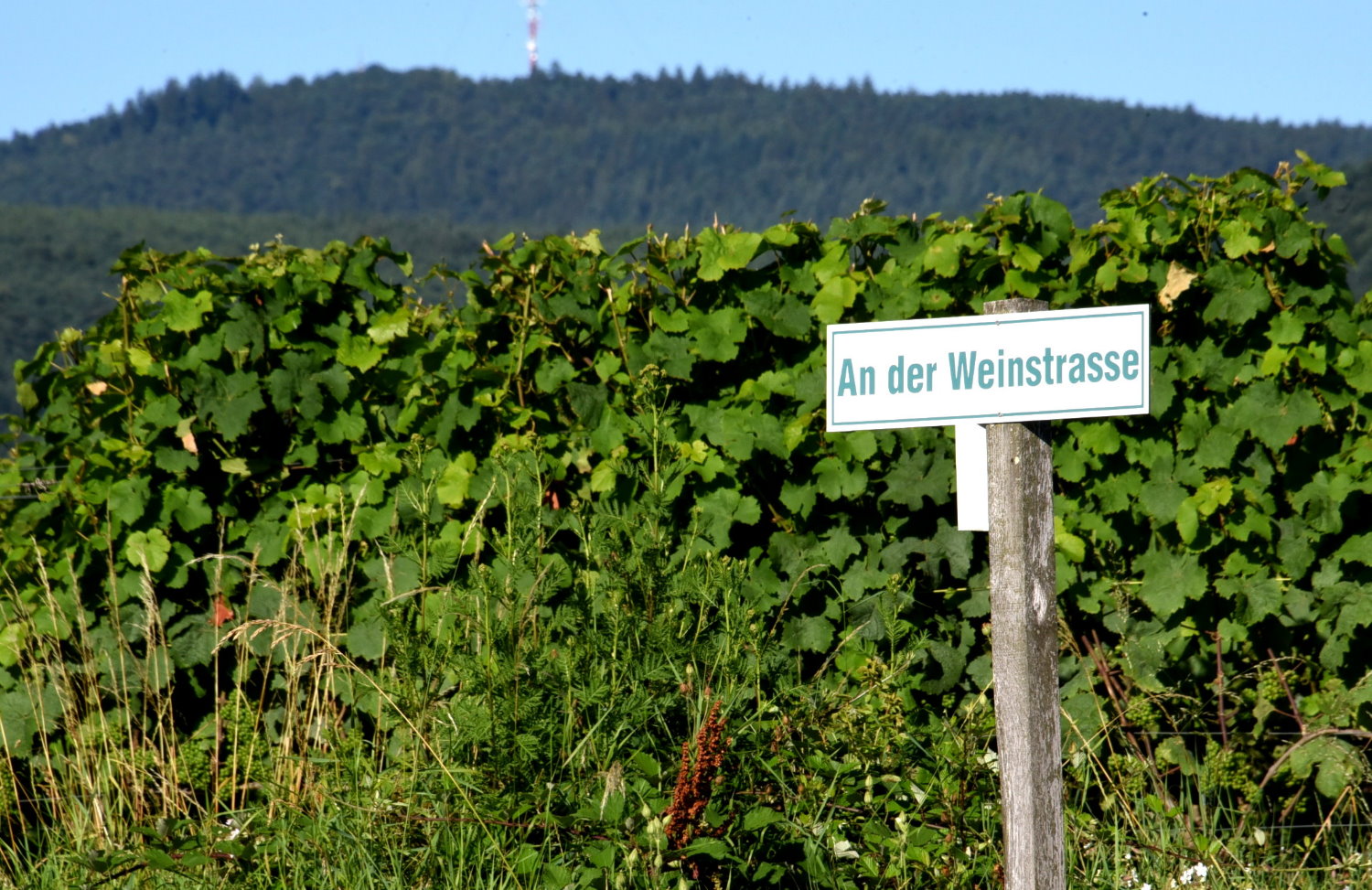 Bild Headergalerie