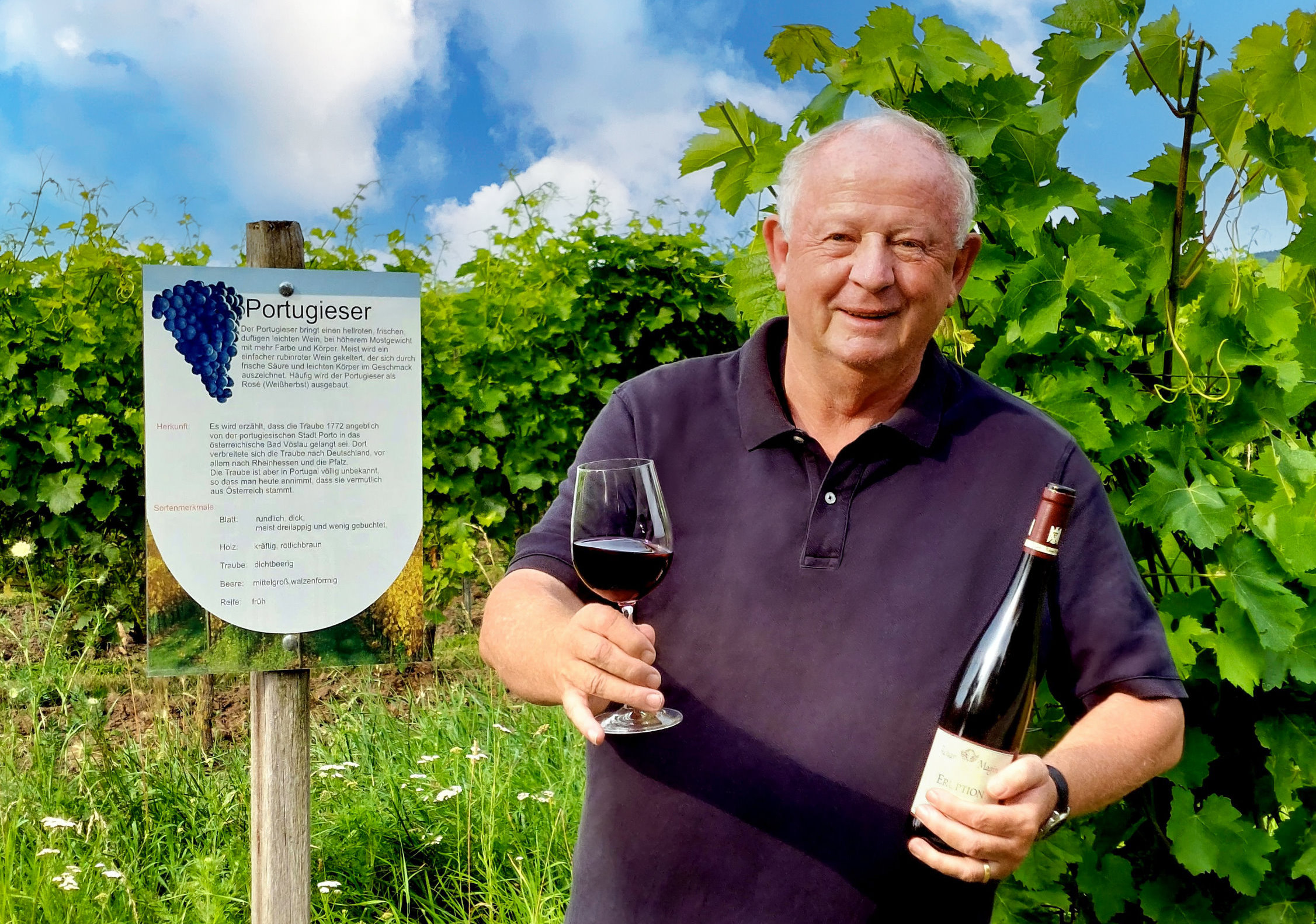 Deidesheim – Terroirwandertag – „Pfälzer Rebsorten“ im „Schatten des Rieslings“ Thumbnail