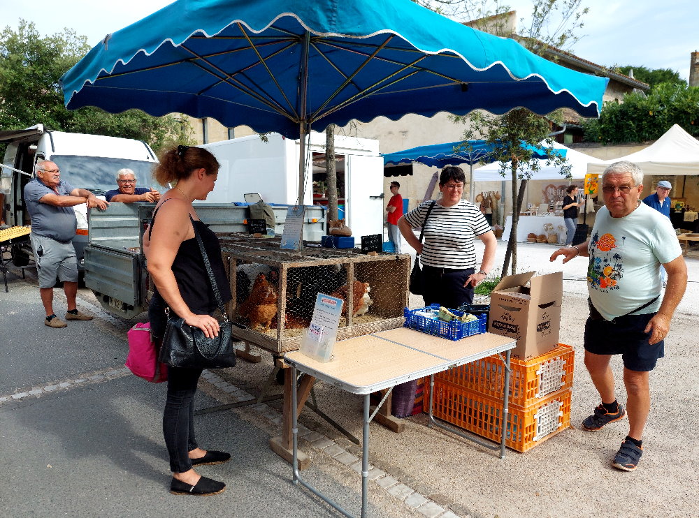 Bild Footergalerie
