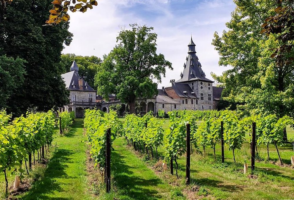 Bild Headergalerie