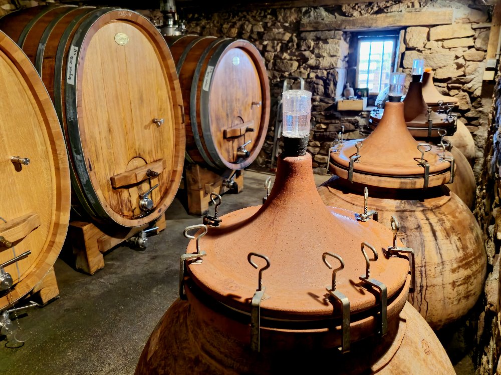 Bild Footergalerie