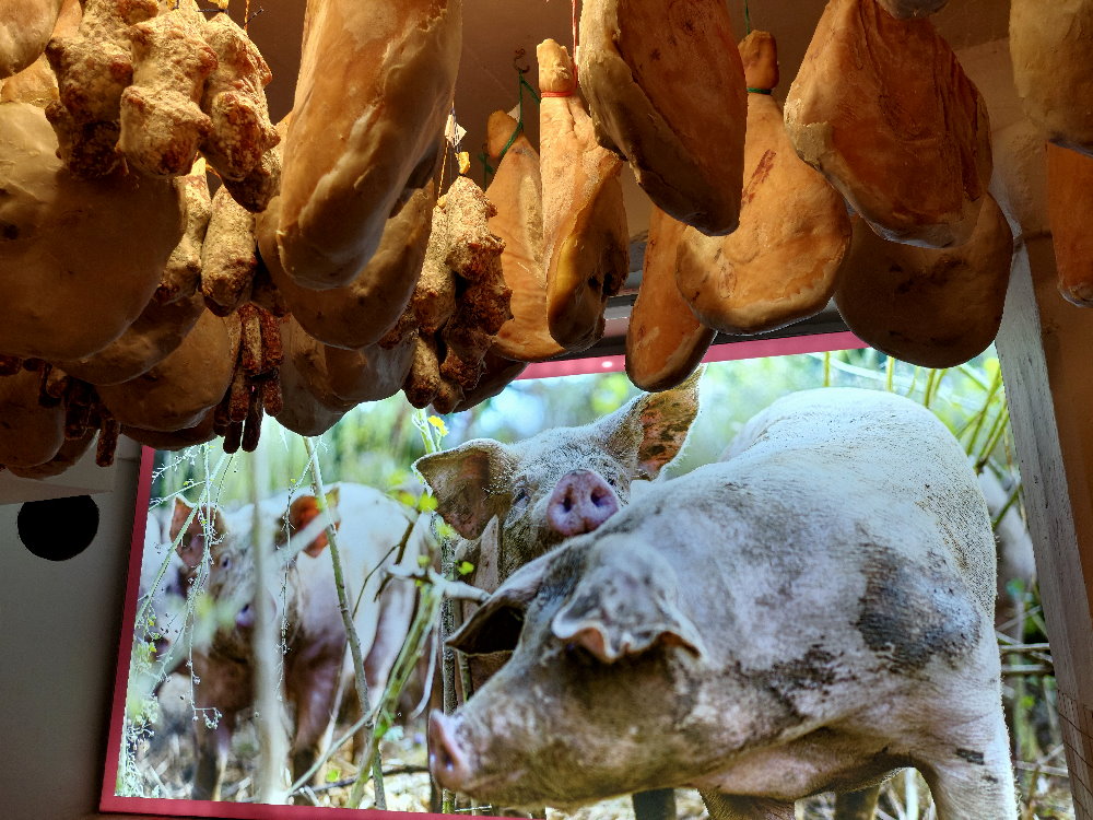 Bild Footergalerie